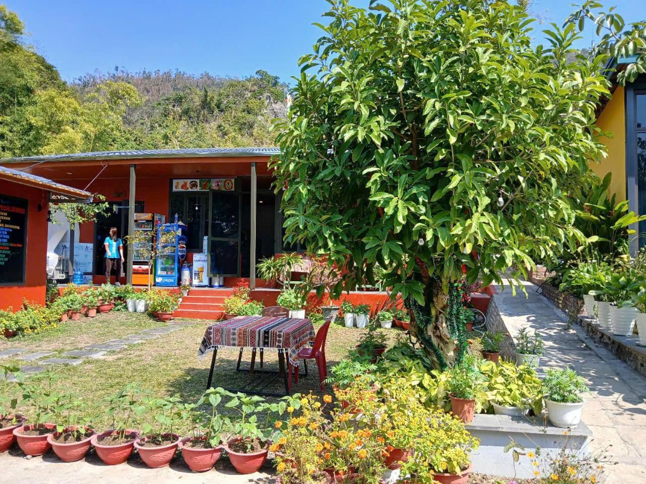 Catba Papillon Garden Bungalows & Resort Hien Hao Екстер'єр фото