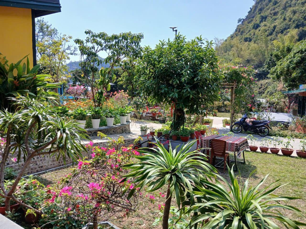 Catba Papillon Garden Bungalows & Resort Hien Hao Екстер'єр фото
