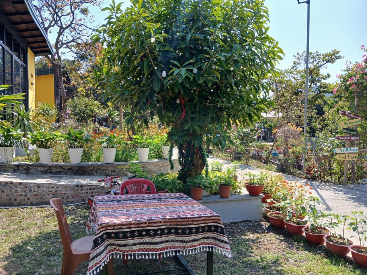 Catba Papillon Garden Bungalows & Resort Hien Hao Екстер'єр фото
