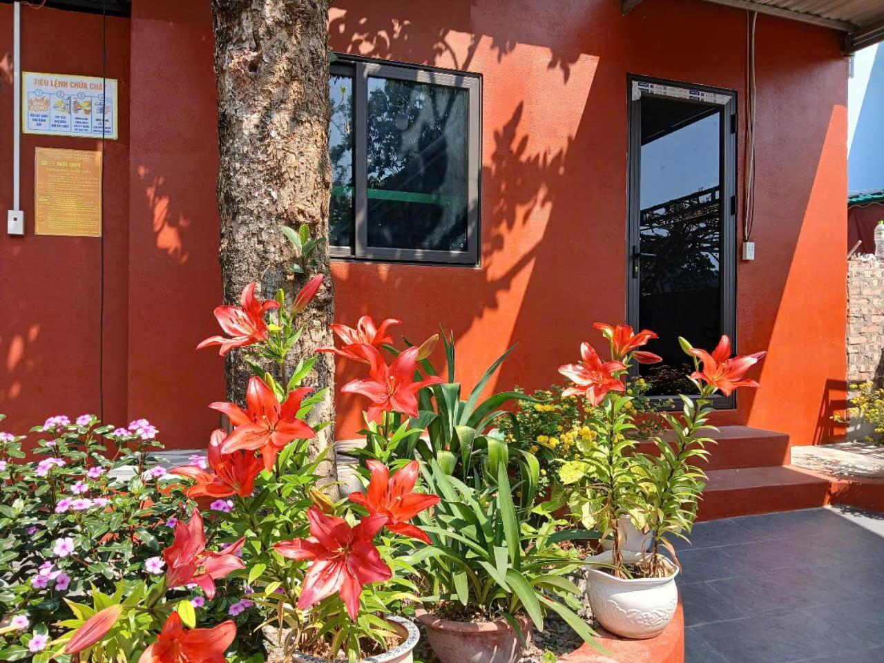 Catba Papillon Garden Bungalows & Resort Hien Hao Екстер'єр фото