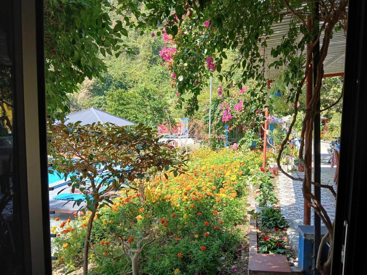 Catba Papillon Garden Bungalows & Resort Hien Hao Екстер'єр фото