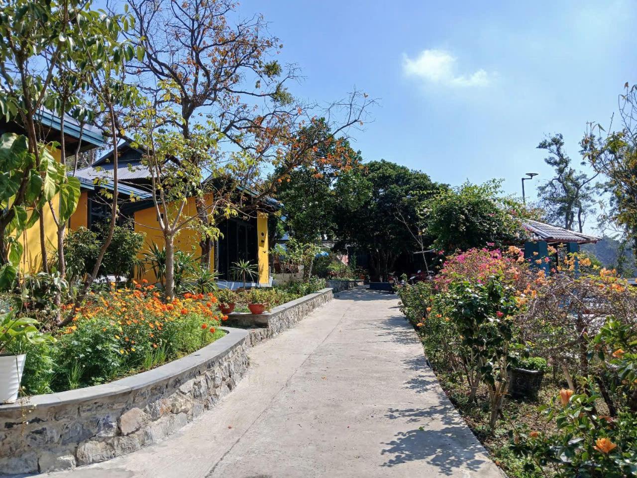 Catba Papillon Garden Bungalows & Resort Hien Hao Екстер'єр фото