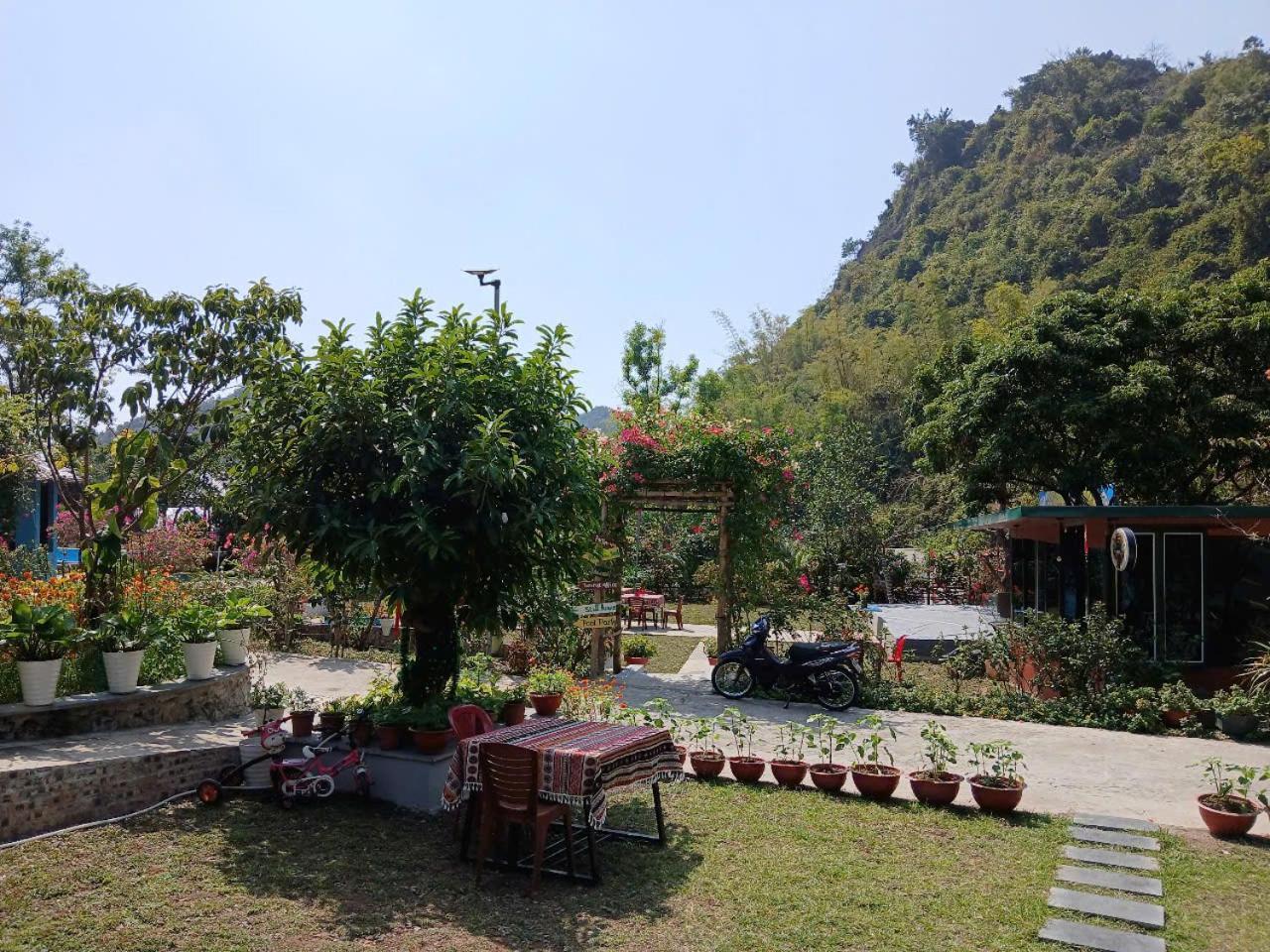Catba Papillon Garden Bungalows & Resort Hien Hao Екстер'єр фото